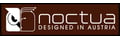 Noctua