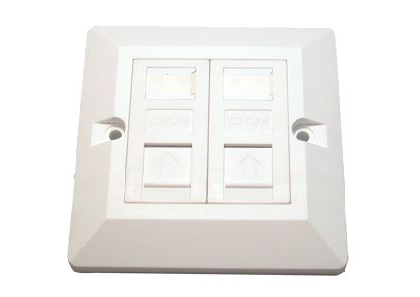 Network Point Faceplate - Double Port - CCL Computers