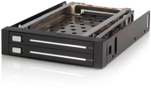 StarTech.com 2 Drive 2.5 inch Trayless Hot Swap SATA Mobile Rack Backplane Storage bay Adaptor (Black)