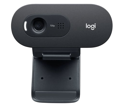 Logitech C505 HD Webcam