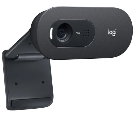 Logitech C505 HD Webcam