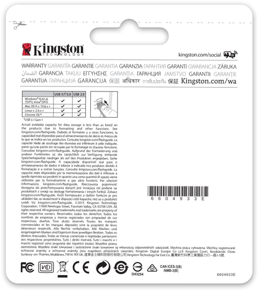 Kingston DataTraveler G4 128GB White 