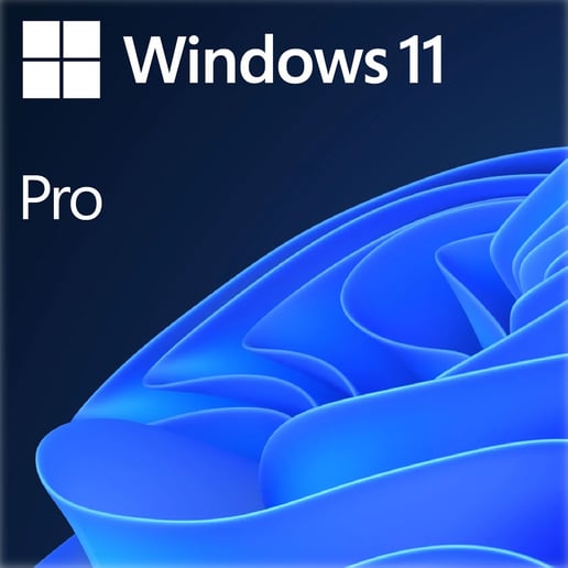 Microsoft Windows 11 Professional 64-bit, DVD, OEM Licence