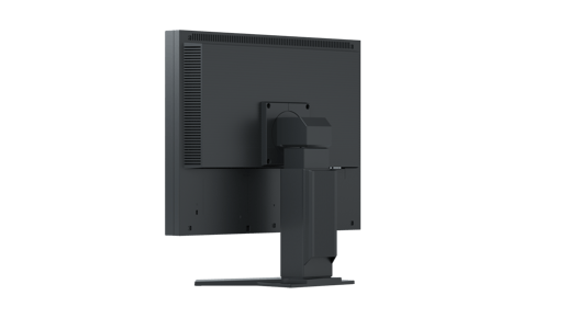 Eizo S2133-BK 21.3" Monitor - IPS, 60Hz, 6ms, DP