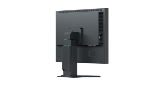 Eizo S2133-BK 21.3" Monitor - IPS, 60Hz, 6ms, DP