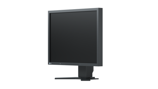 Eizo S2133-BK 21.3" Monitor - IPS, 60Hz, 6ms, DP