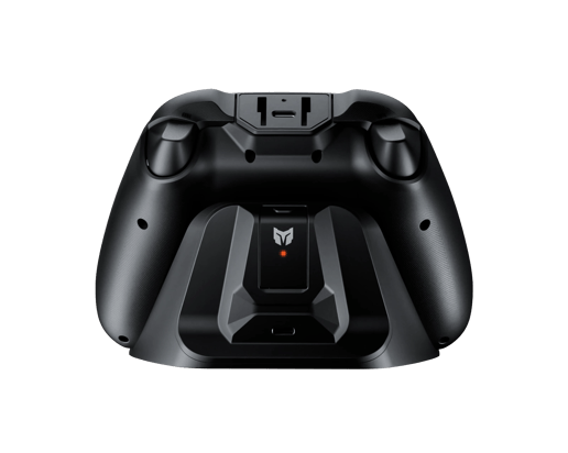 BIGBIG WON Gale Hall Wireless Controller- Black