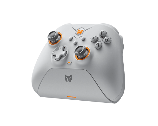 BIGBIG WON Gale Hall Wireless Controller- White