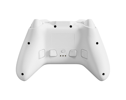BIGBIG WON Gale Hall Wireless Controller- White