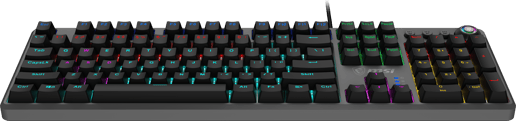 MSI FORGE GK310 Gaming Keyboard with Red Switches
