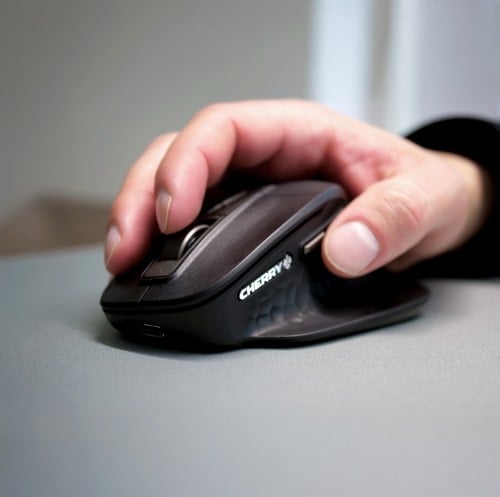CHERRY MW 4500 Ergonomic Wireless Mouse