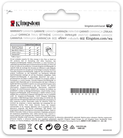 Kingston DataTraveler G4 128GB White 